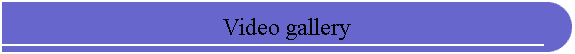 Video gallery